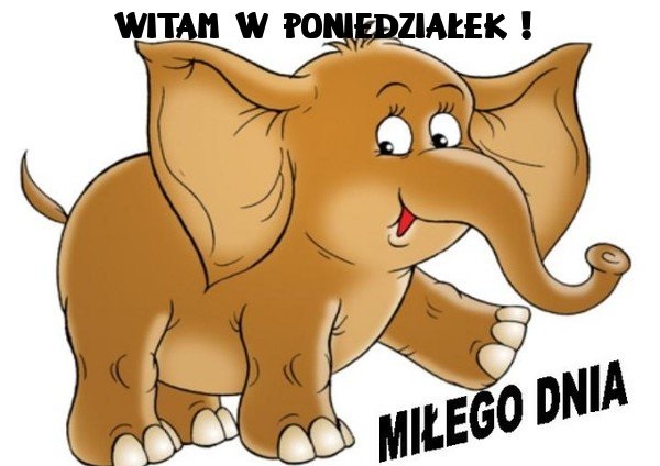 Duży słonik wita w poniedziałek
